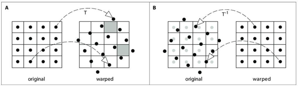 image-20220219165651182